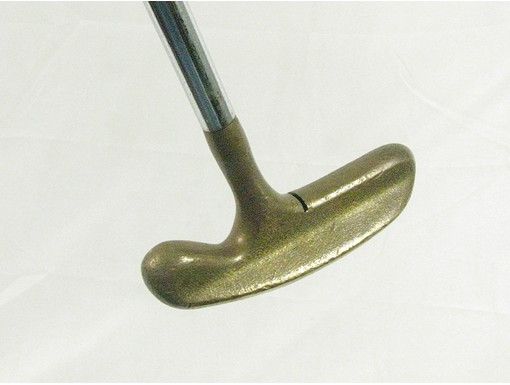 LADIES Titleist Acushnet La Femme Putter w/ Steel (33 7/10 (D13 10 L 