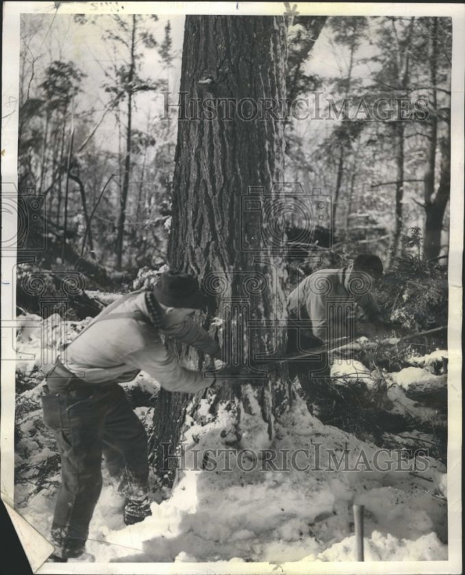   in the snow. Photo measures 8 x 10 inches. Photo is dated 04 20 1941