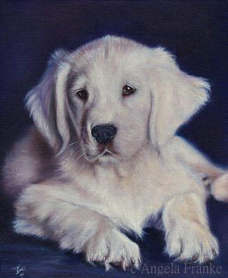 Original Oil painting Golden Retriever Labrador Dog Hund Ölgemälde 