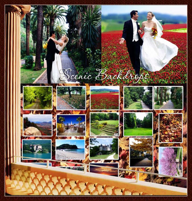 DIGITAL BACKDROPS & TEMPLATES FOR WEDDING PHOTO ALBUM  