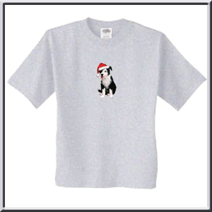 Santa Claus Border Collie T Shirt Size S,M,L,XL,2X,3X  