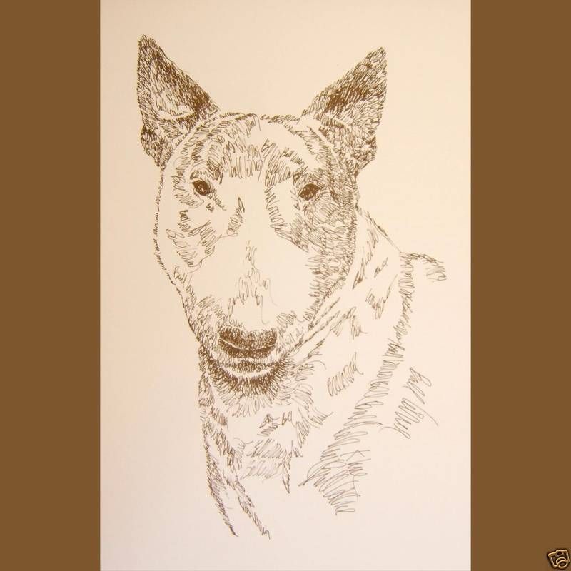 BULL TERRIER DOG ART #50 Kline draws your dog name free  