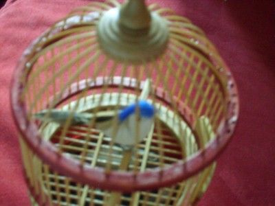 Singing Chirping Bird In a Cage Wind Up Toy Cute Gift  