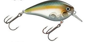 Strike King KVD Square Bill 2.5 Sexy Ghost Minnow  