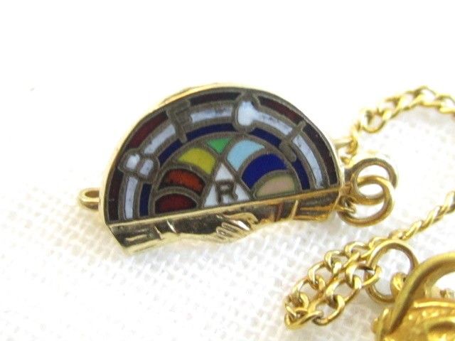 Vintage BFCL Masonic Rainbow Girls 10K Top Enamel Pins  