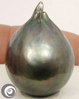 ENORMOUS BAROQUE TAHITIAN CULTURED PEARL  22.5 x 16.8mm  