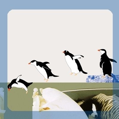 SS58235 PENGUIN WALL ART DECOR Mural Decal STICKER DIY  