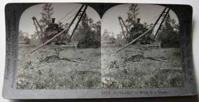 Skidder Machine at Work in Forest Stereoview Logging Industry  