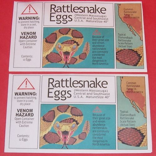 jw 0045 this auction is for two new rattlesnake eggs