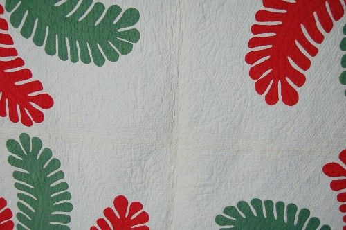 1850s Princes Feather Antique Applique Quilt ~BEST  