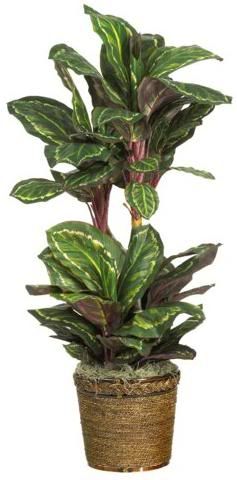 NEARLY NATURAL Artificial 4.5 Ft Maranta Silk Plant   Tropical Decor 