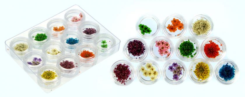 12 Style Set Dry Dried Flowers for Acrylic UV Nail Art  