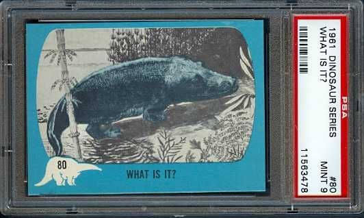 1961 DINOSAUR SERIES #80 WHAT IS IT? PSA 9 LAST CARD  