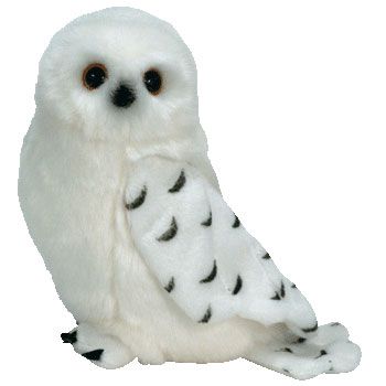 KNOWLEDGE the SNOWY OWL   TY BEANIE BABY (BORDERS)  